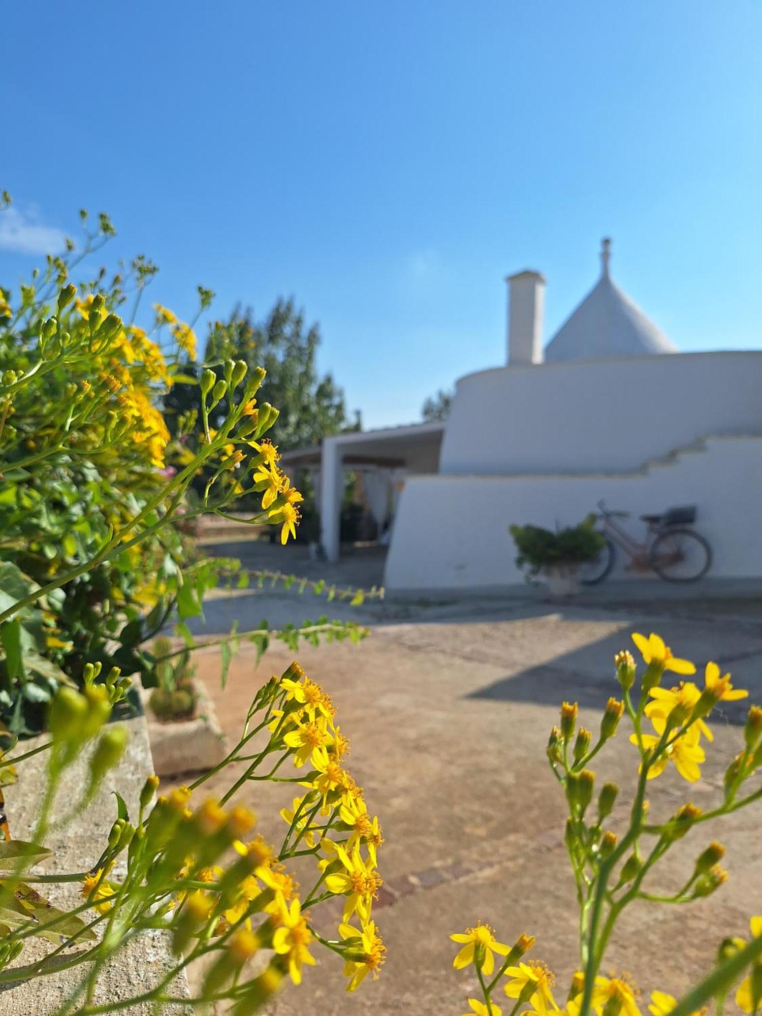 Holiday Home Trullo Antico Ostuni Bagian luar foto