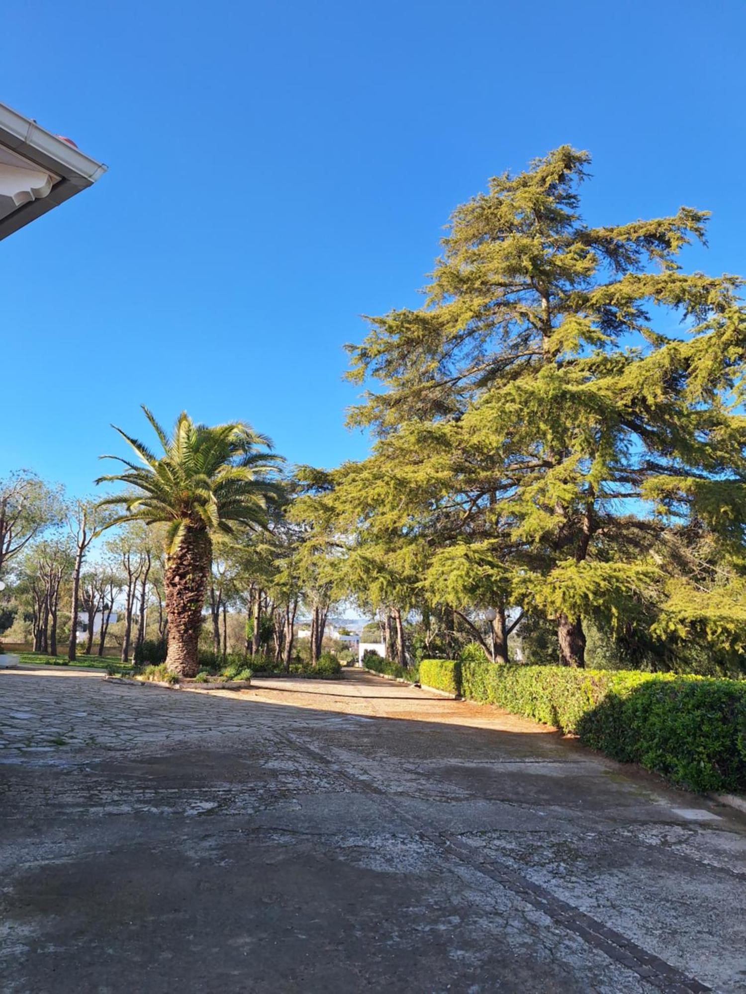 Holiday Home Trullo Antico Ostuni Bagian luar foto